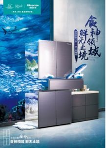 家電業(yè)創(chuàng)新零售新時(shí)代來(lái)臨 海信冰箱提供示范樣板